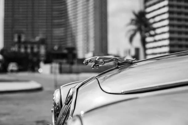 20Bets Casino Android/iOS App